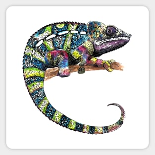 Chameleon Sticker